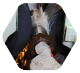 images/fac2b.gif